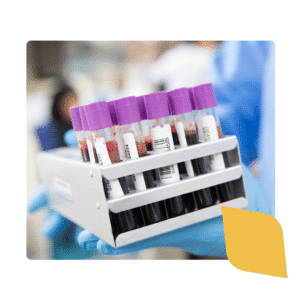 Lab Photo (1)